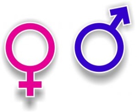 gender symbols