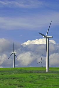 green-degrees-community-colleges