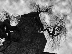 black and white image of old house with gnarled tree
