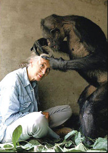Jane Goodall Zoology Careers