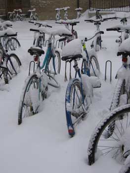 bicycles in snow